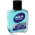    Everjoy Aqua Di Mare Breeze (100 )