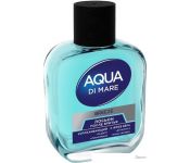    Everjoy Aqua Di Mare Breeze (100 )