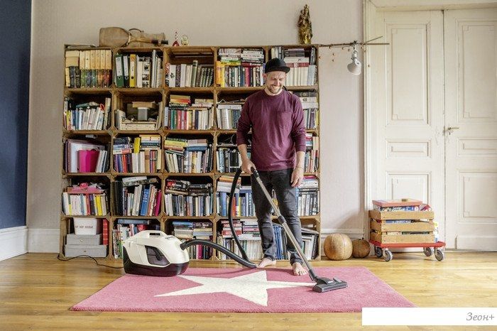 Пылесос Karcher DS 6 Plus 1.195-252.0