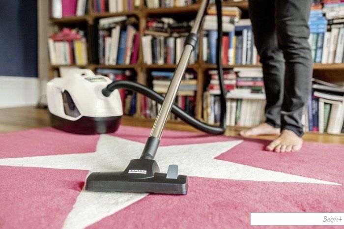 Пылесос Karcher DS 6 Plus 1.195-252.0