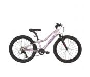  24'' Maxiscoo 5BIKE,   ,  L