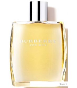   Burberry For Men EdT (100 )