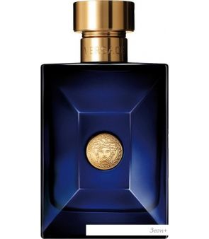 Versace Pour Homme Dylan Blue EdT (100 )