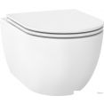   Wellsee Chalice Perfection RimFree 182608001 (, ,  )