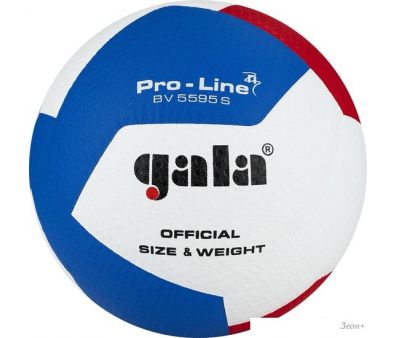   Gala Pro-Line 12 BV 5595 SA ( 5, //)
