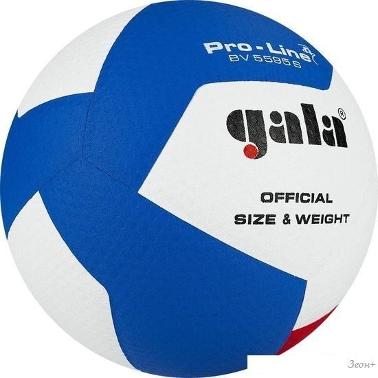 Волейбольный мяч Gala Pro-Line 12 BV 5595 SA (размер 5, белый/красный/голубой)