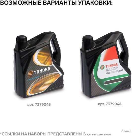 Набор домашнего мастера Tundra 4506459 (21 предмет)