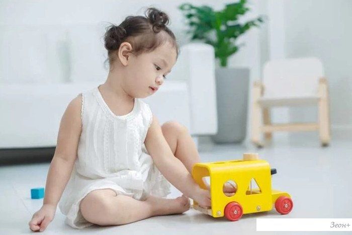 Сортер Plan Toys Автобус 5121
