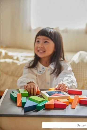 Конструктор/игрушка-конструктор Plan Toys Блоки Геометрия 5467