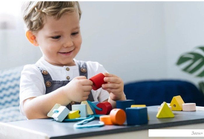 Развивающая игрушка Plan Toys Шнуровка Фигуры 5466