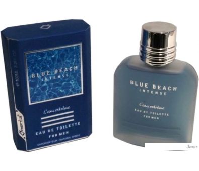   Omerta Blue Beach Intense Men EdT (100 )
