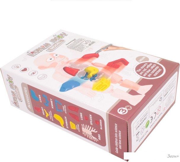 Набор для опытов Darvish Human Body SR-T-3568