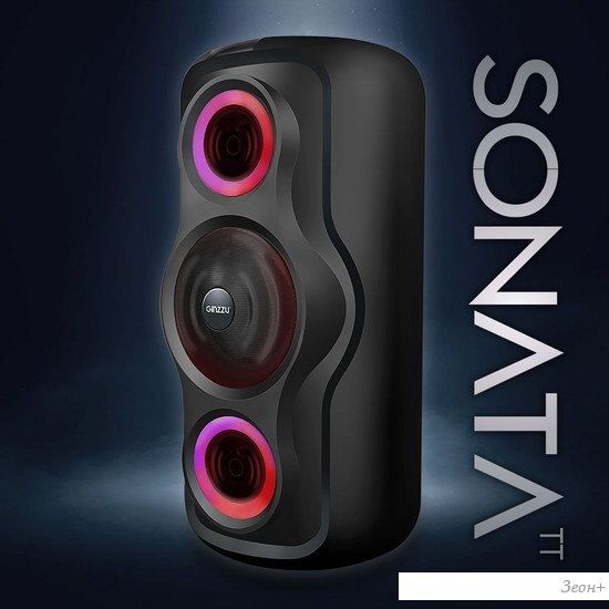 Беспроводная колонка Ginzzu Sonata GM-233