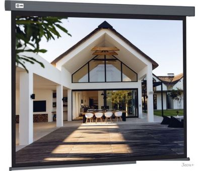   CACTUS Wallscreen 206x274 CS-PSW-206X274-SG