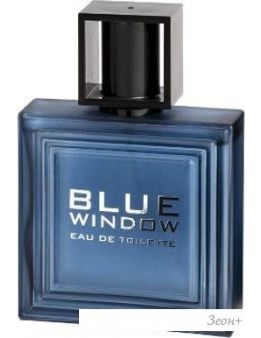 Linn Young Blue Window Men EdT (100 )