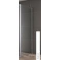 Душевая стенка Cezares VARIANTE-100-FIX-C-Cr