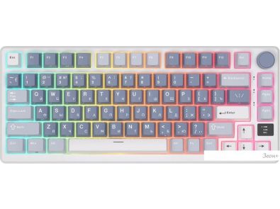  Royal Kludge RK-M75 (/, RK Sliver)