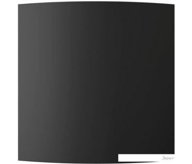   ERA PQ4 (onyx)
