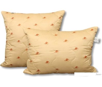    Camel 50x68 -050