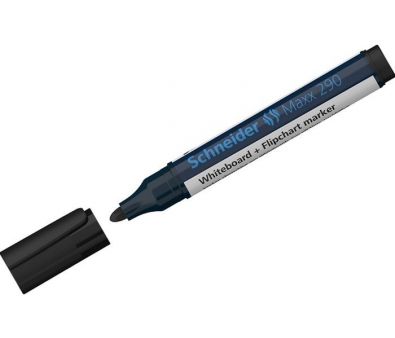 Schneider Maxx 290 129001 ()