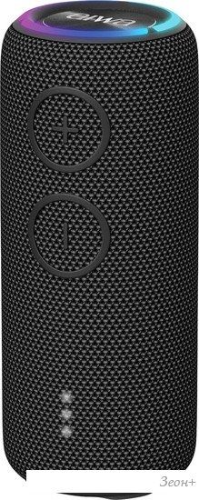 Беспроводная колонка Aiwa PAS-H200 (черный)