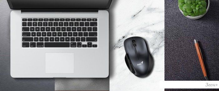 Мышь Genius Ergo 8200S (серый)
