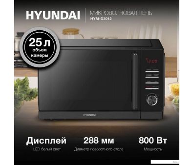   Hyundai HYM-D3012