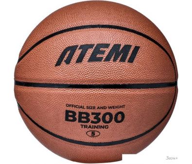   Atemi BB300N (5 )