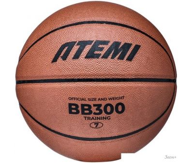  Atemi BB300N (7 )