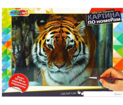   MultiArt    CANV30X40-MULTI24