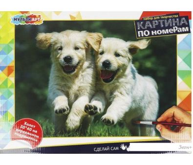    MultiArt  CANV30X40-MULTI27