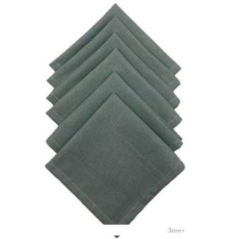     (6 )