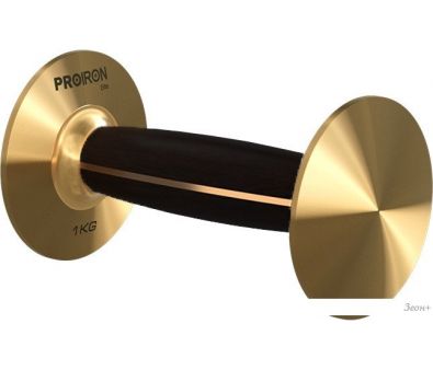 Proiron   1010 (1 )