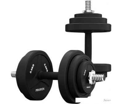   Proiron 2100 (2 )