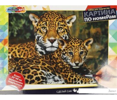    MultiArt  CANV30X40-MULTI46