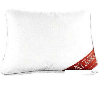   Espera Home Princess Pillow -5898 40x60
