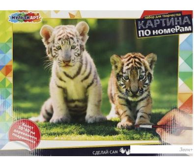    MultiArt  CANV30X40-MULTI45