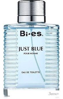   BI-ES Just Blue Pour Homme EdT (100 )