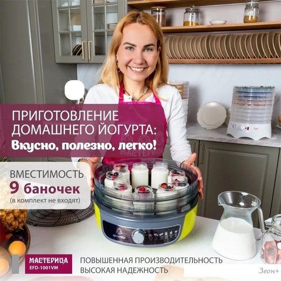 Сушилка для овощей и фруктов Мастерица EFD-1001VM (оливковый/серый)