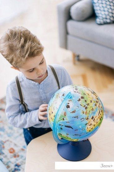 Школьный глобус Globen Зоогеографический Классик Евро с подсветкой Ке012500270