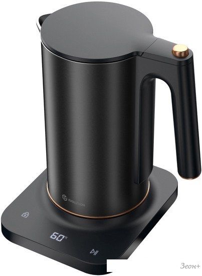 Электрический чайник Evolution KP22151L Thermocontrol