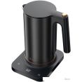 Электрический чайник Evolution KP22151L Thermocontrol