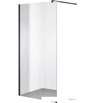   Saniteco Walk-In SN-W8TB100 (100x200,  ,  )