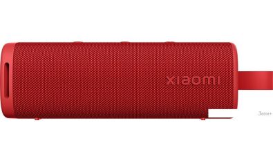   Xiaomi Sound Outdoor (,  )