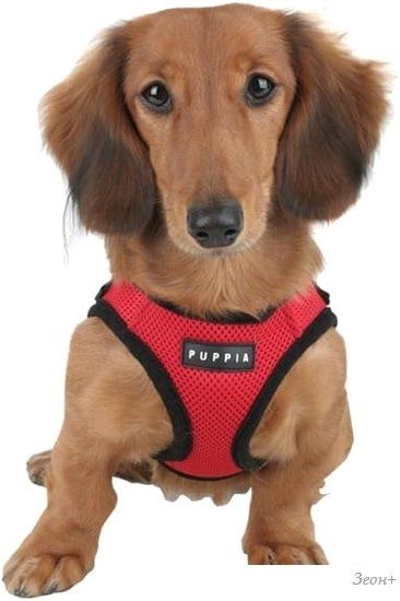 Шлейка-жилетка Puppia Soft Vest PAHA-AH305-RD-S (красный)