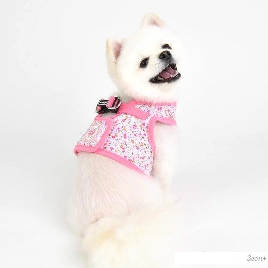 Шлейка-жилетка Puppia Wildflower PAUA-HB1826-PK-XL (розовый)