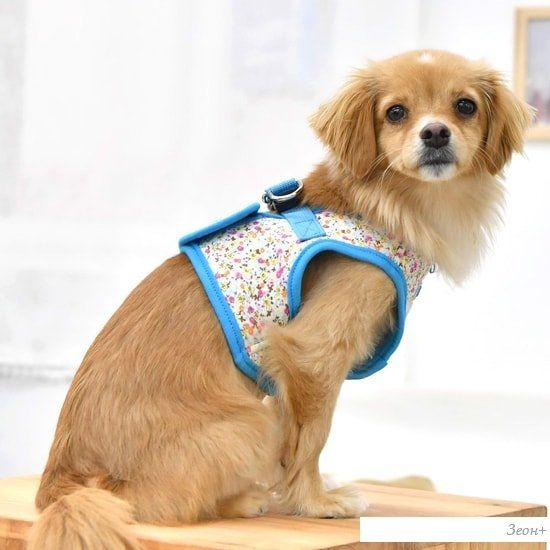 Шлейка-жилетка Puppia Wildflower PAUA-HB1826-SB-M (голубой)