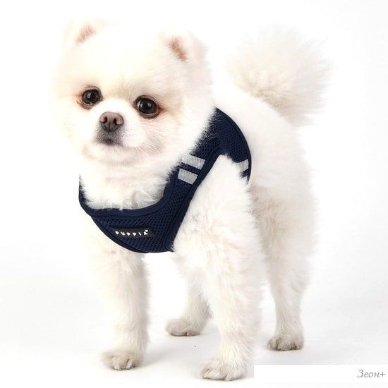 Шлейка-жилетка Puppia Soft PAUA-HB1828-NY-M (синий)