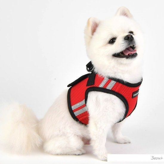 Шлейка-жилетка Puppia Soft PAUA-HB1828-RD-S (красный)