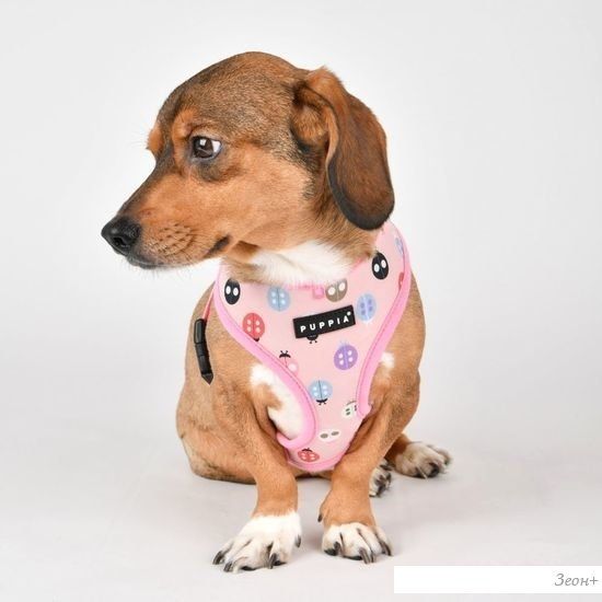 Шлейка-жилетка Puppia Lady Beetle-A PAWA-HA1957-PK-XL (розовый)